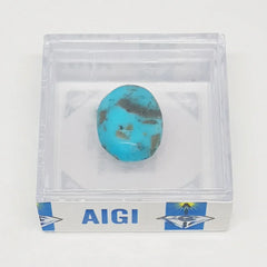 Turquoise Gemstone Firoza Gemstone