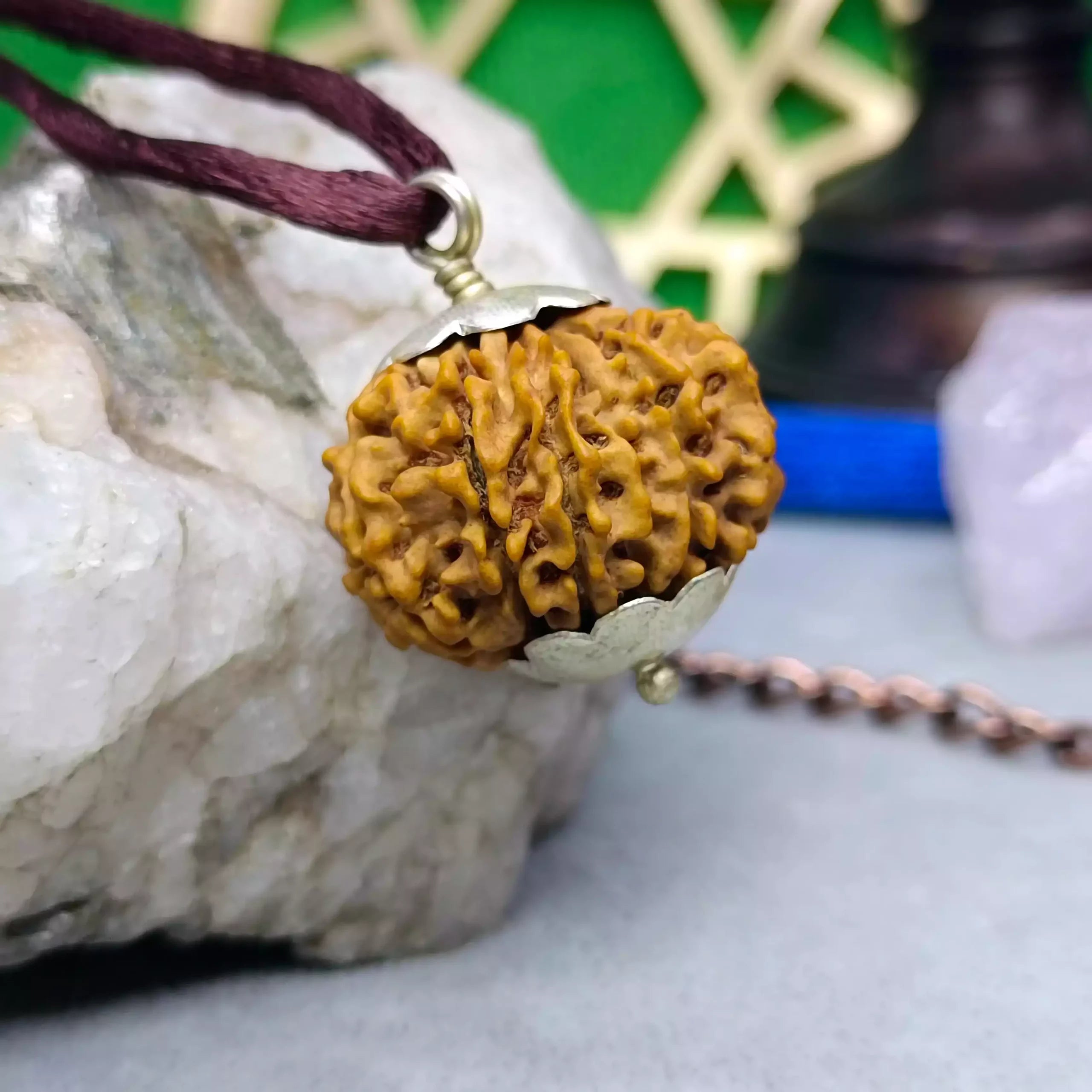 Twelve Mukhi Rudraksha Nepal
