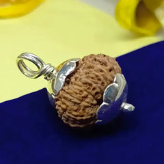 Twenty Three Mukhi Rudraksha Indonesia