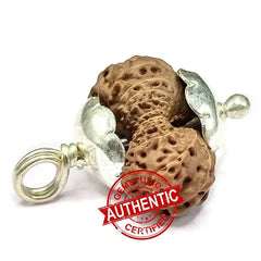 Twenty Two Mukhi Rudraksha Indonesia
