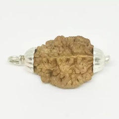 Two Faced Rudraksha