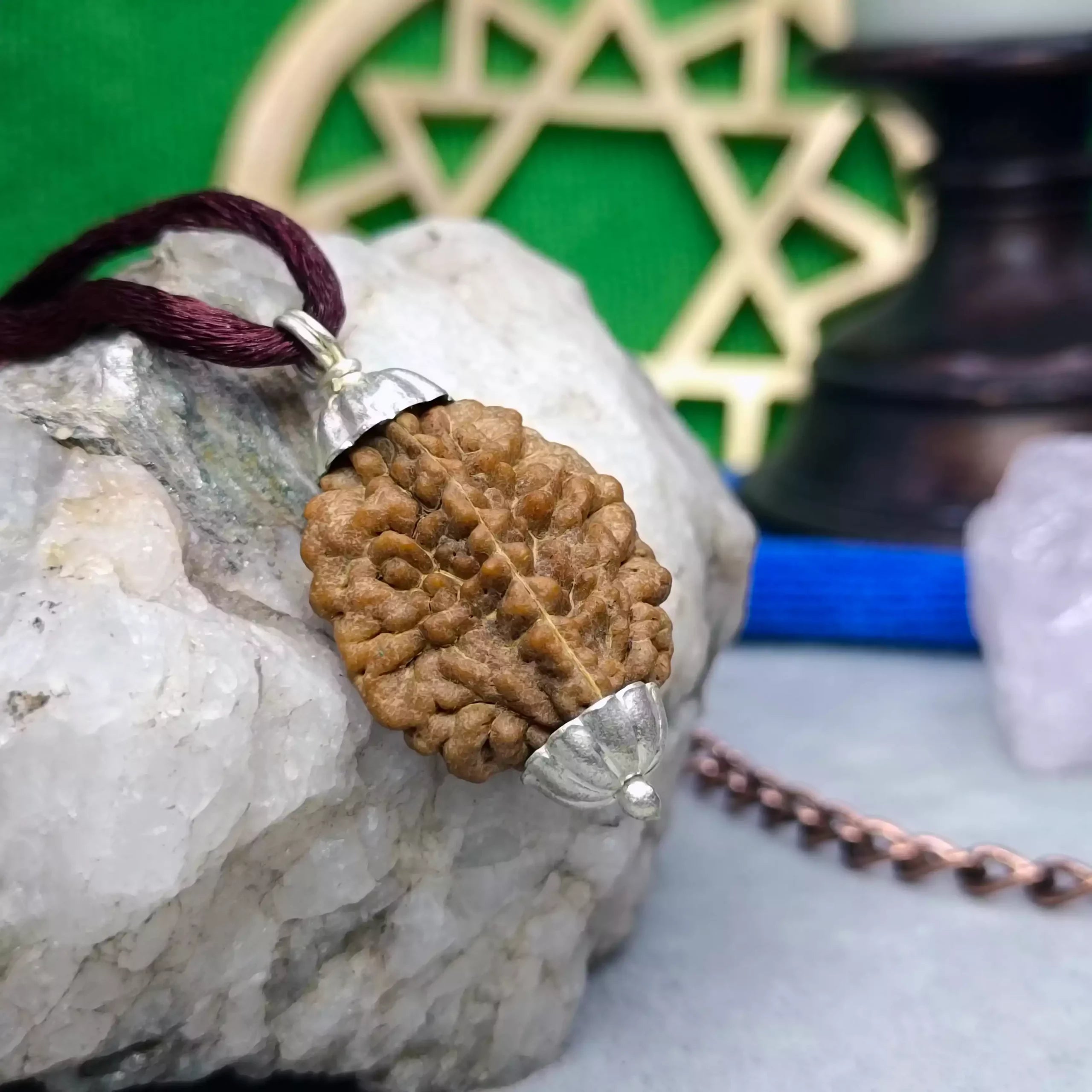 Two Mukhi Rudraksha India