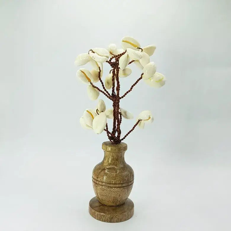 White Kaudi Tree Big