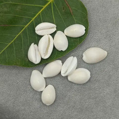 White Laxmi Kaudi